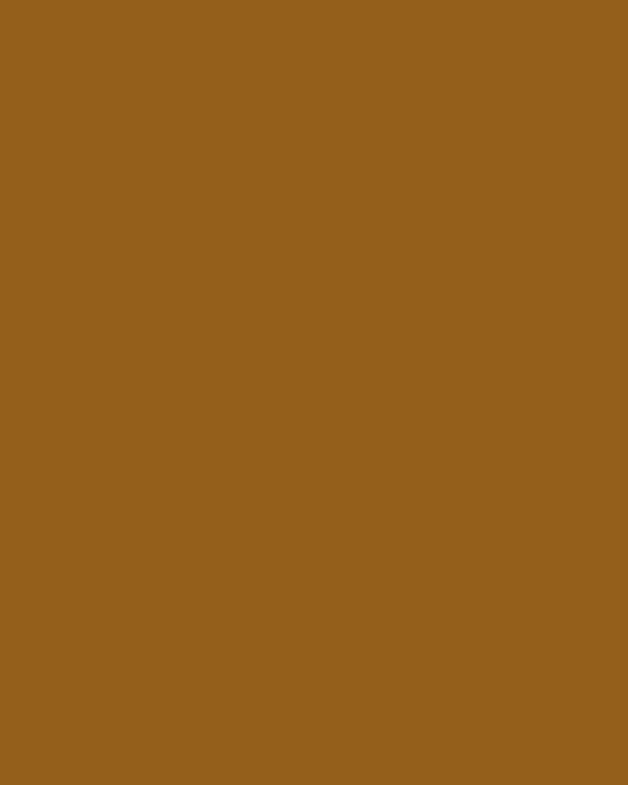 Amun Tunic Rust